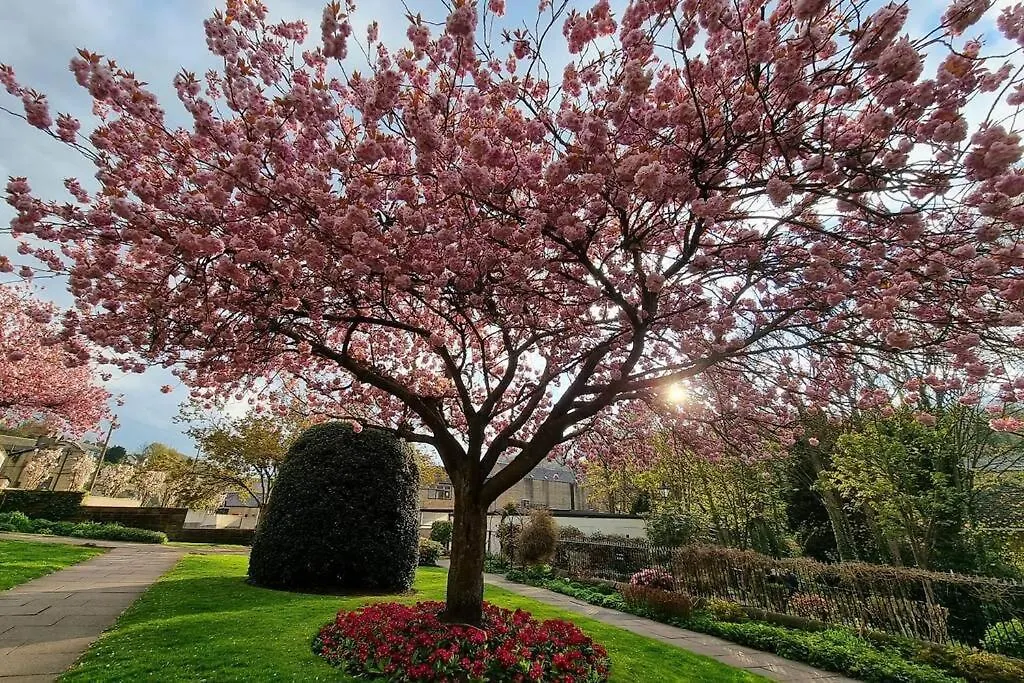 Semesterbostad Crystal Cottage - 5 Min Walk From Holmfirth Town Centre